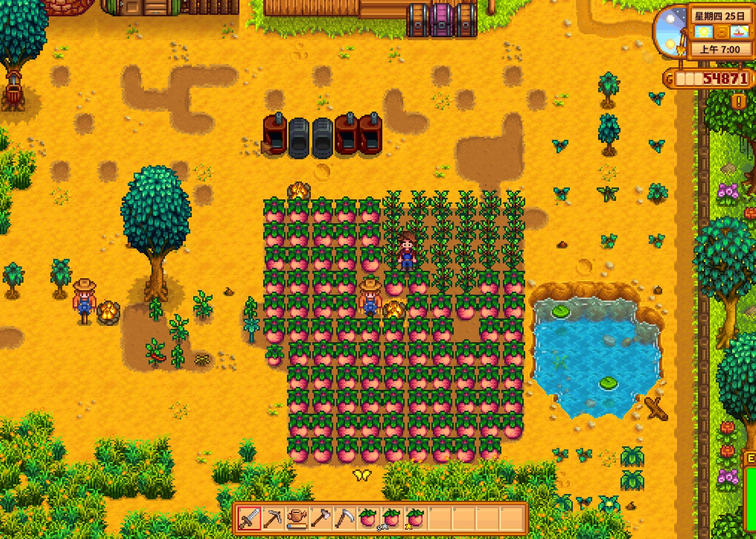 血源诅咒 重制版 截图11