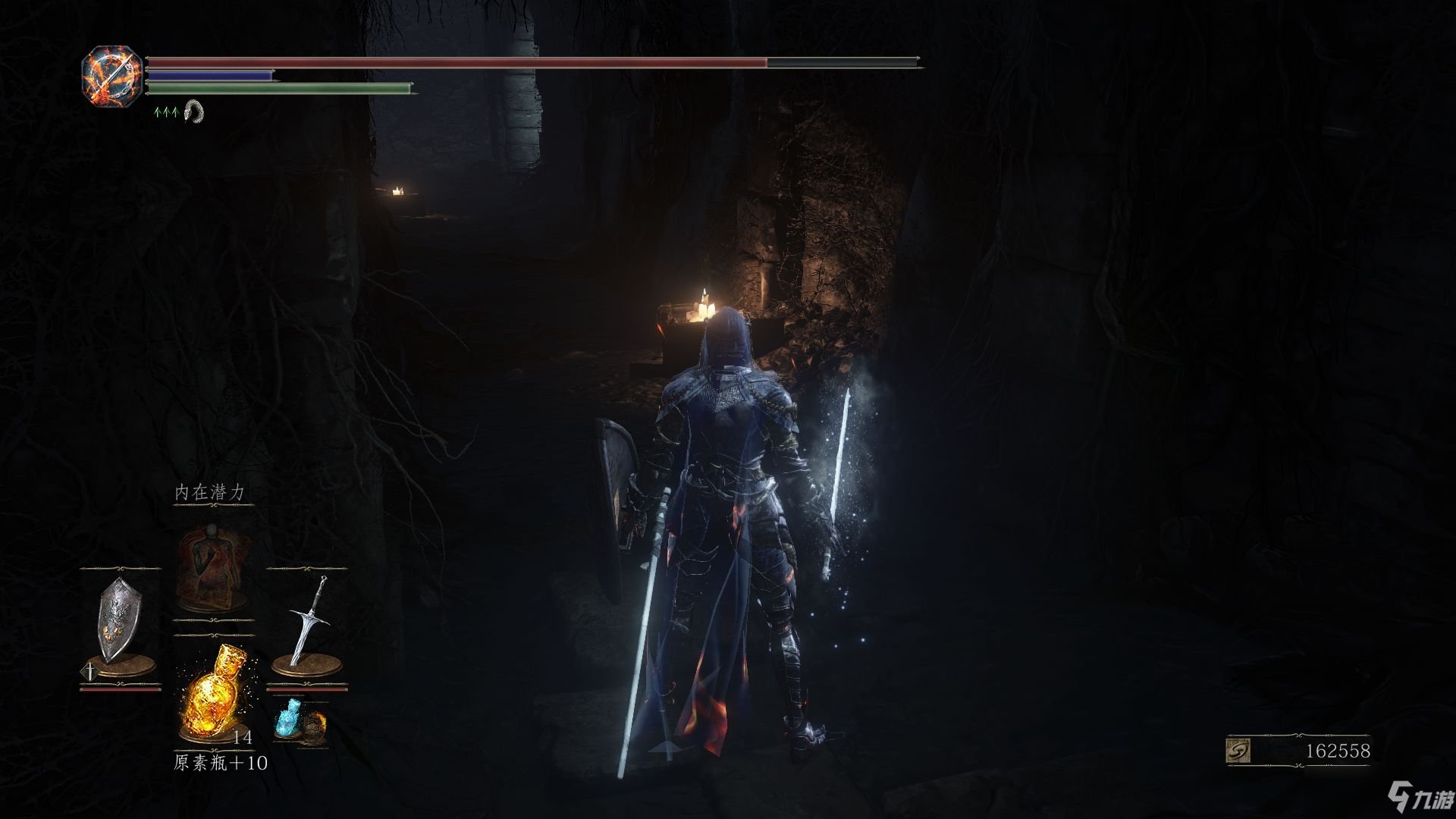 只狼：影逝二度 年度版 截图13