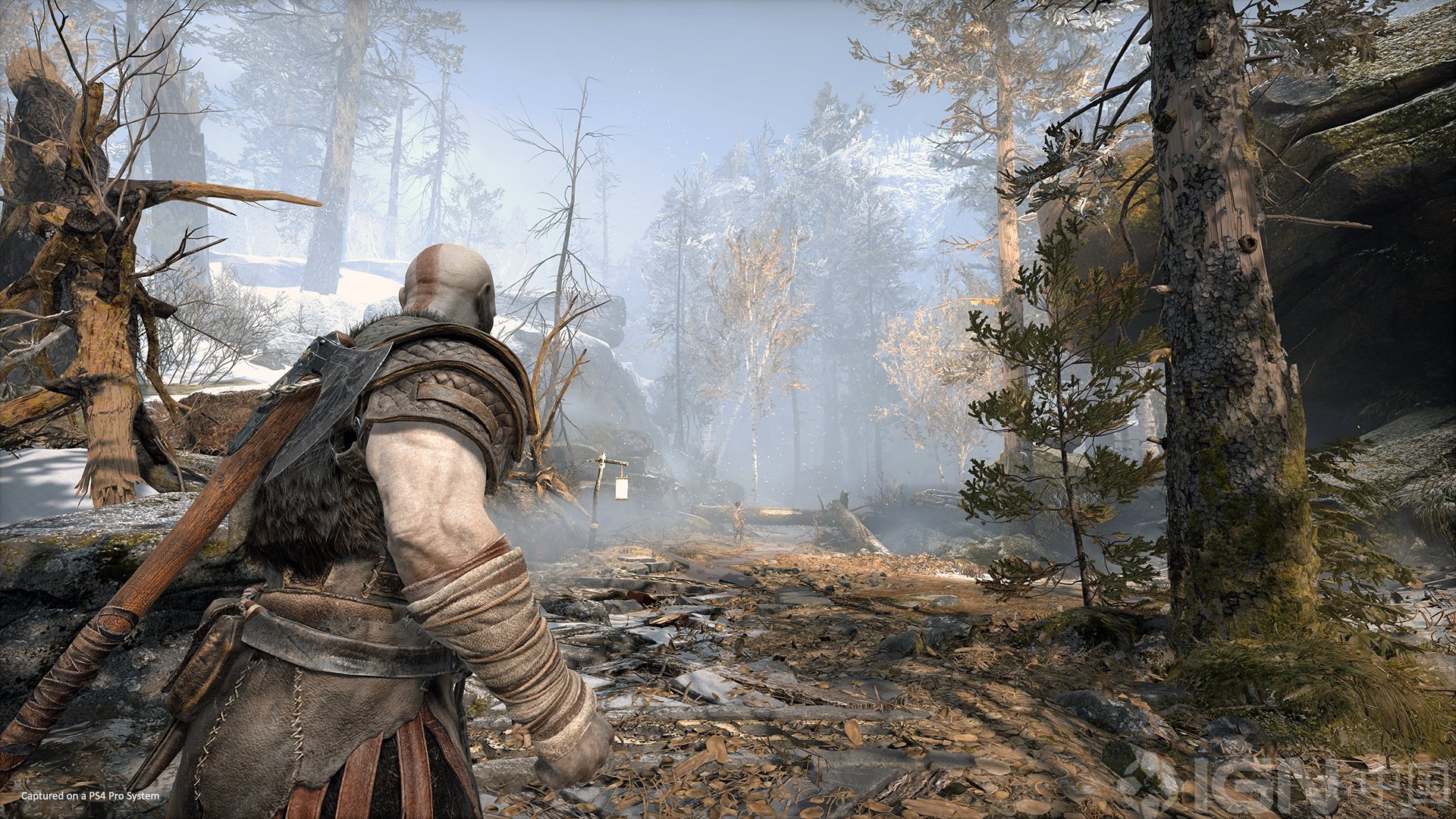 怪物猎人：世界 截图6